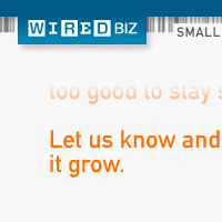 Wired Small Biz 300x250 Banner